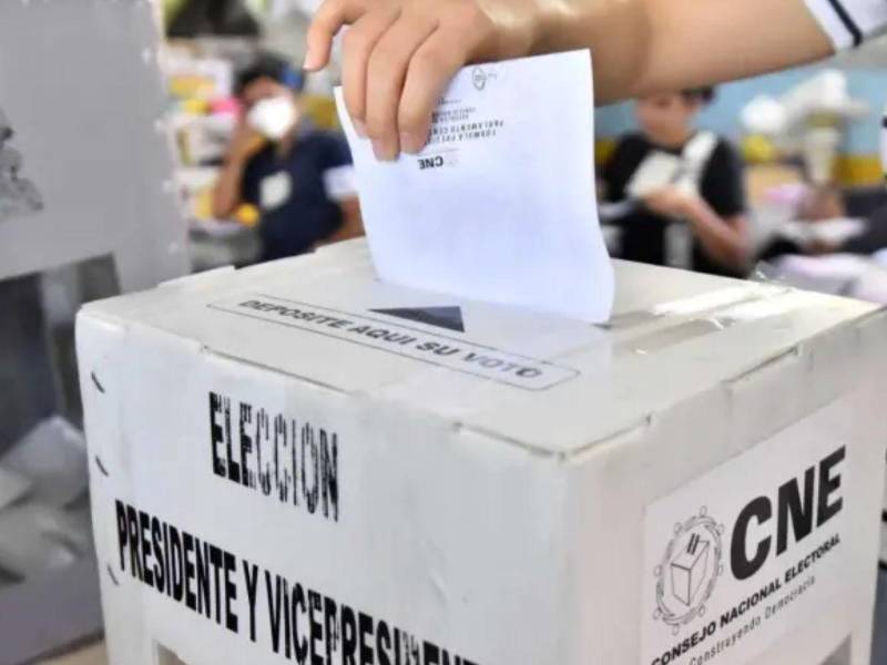 En momentos de incertidumbre, los observadores internacionales juegan un papel importante para garantizar los resultados electorales.