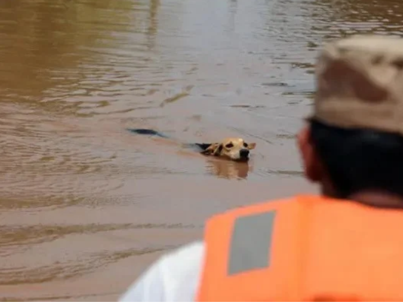 Inundaciones en El Progreso, Yoro