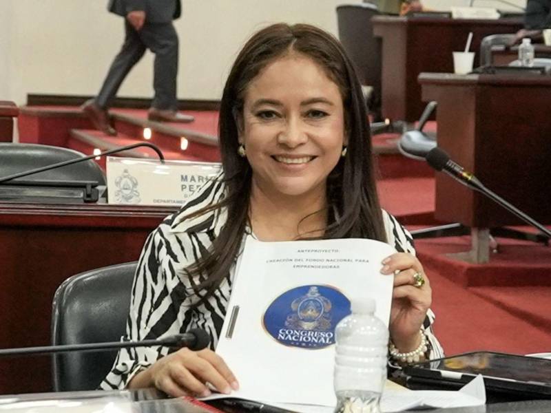 La diputada oficialista rechazó las críticas del partido Libertad y Refundación, cuyos dirigentes sostienen que las reformas están diseñadas para beneficiar al Partido Nacional.