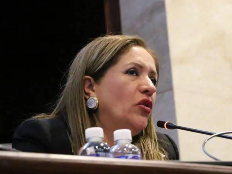 La exparlamentaria sufrió un atentado con un artefacto explosivo el pasado 8 de enero en las instalaciones del Congreso Nacional.