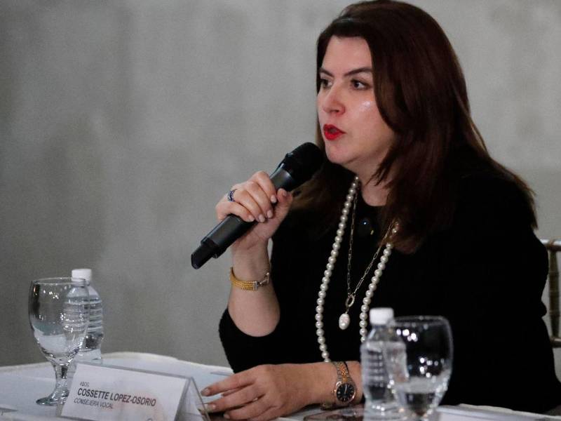 Cossette López es representante del Partido Nacional en el Consejo Nacional Electoral (CNE).