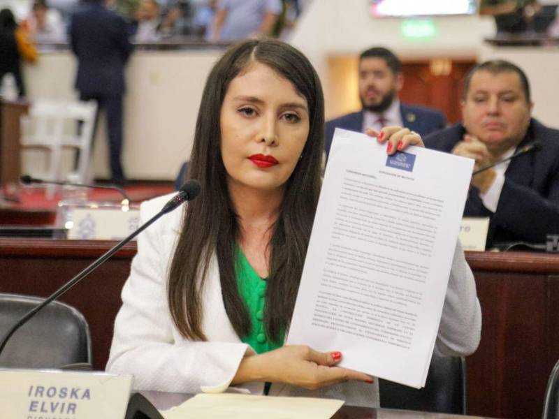 La diputada Iroshka Elvir sostuvo que es importante crear una política pública de seguridad integral que no solamente persiga el delito, sino que también lo prevenga”.