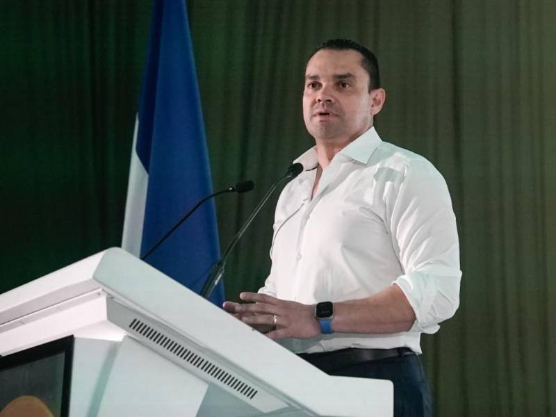 El titular del Legislativo señaló que productores de palma han reportado pérdidas de empleos por invasiones de tierras y destacó nuevas leyes para atender sus reclamos.