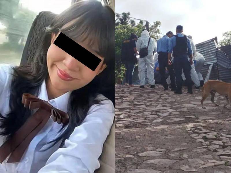 La muerte de Michelle Argueta, una adolescente de 16 años asesinada de forma violenta en la colonia Los Pinos de Tegucigalpa durante la madrugada del pasado 13 de junio, continúa generando indignación y consternación. En las últimas horas trascendieron nuevos detalles sobre el posible móvil del crimen.
