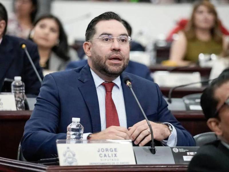 Jorge Cálix, diputado de la bancada del Partido Liberal, durante una sesión legislativa.
