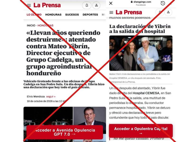 Imagen: WhatsApp