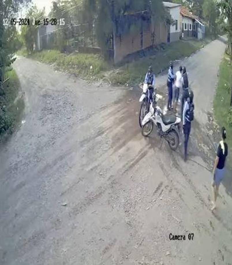 La mujer describió a Toby como un perro “demasiado noble” que había llegado a la familia desde los seis días de nacido. 