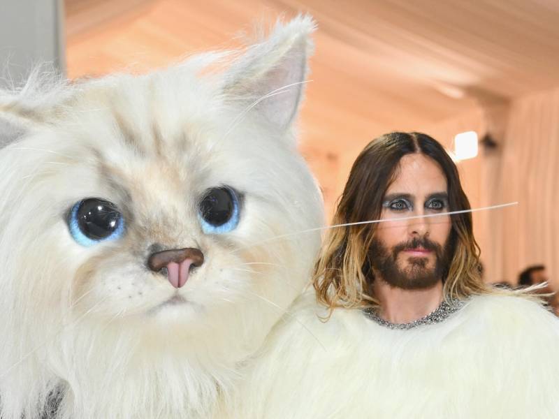 Jared Leto arribó a la Met Gala con un simpático y tierno disfraz de gatito.