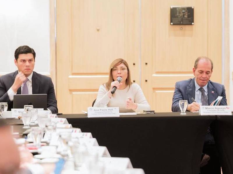 Ana Paola Hall, consejera presidenta del CNE, durante la reunión de este jueves con el G16+. Foto La Prensa.