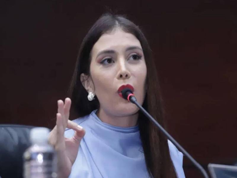 La diputada y dirigente liberal Iroshka Elvir pidió al CNE dar trámite a los recursos presentados por el Partido Liberal y por su candidato presidencial, Salvador Nasralla, ante supuestas inconsistencias en actas electorales, y llamó a la apertura de urnas para garantizar la transparencia del proceso.