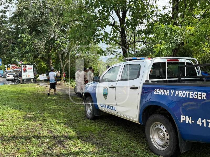 Eber Antonio Larios García, de 26 años, que se dedicaba a lavar carros, murió la madrugada de este día al caer un árbol de higo sobre su humilde vivienda, ubicada en los bordos del río Blanco, en San Pedro Sula.