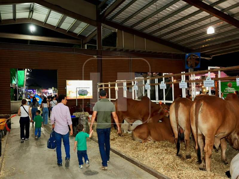 La Asociación de Ganaderos y Agricultores de Sula (AGAS) <b>lleva a cabo</b> la 58 Exposición Ganadera, Agrícola, Comercial e Industrial AGAS 2026, la cual <b>se desarrolla</b> del 19 al 28 de junio en la ciudad industrial, en homenaje a Rodrigo Salomón Fernández Ballesteros. Fotos: Yoseph Amaya