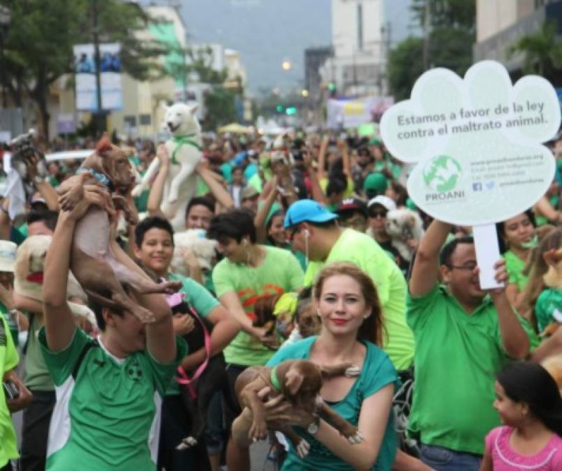 En la primera calle de San Pedro Sula los sampedranos elevaron su voz y sus mascotas contra el maltrato animal.