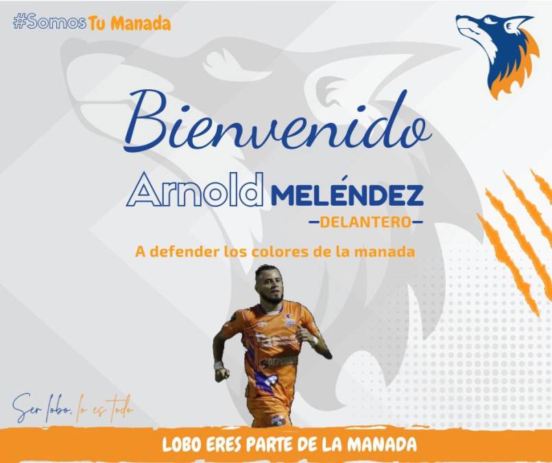 Los Lobos de la UPN anunciaron el fichaje del mediocampista Arnold Josué Meléndez, quien llega procedente del Jocoro FC de El Salvador. El catracho vuelve a las filas del cuadro universitario.