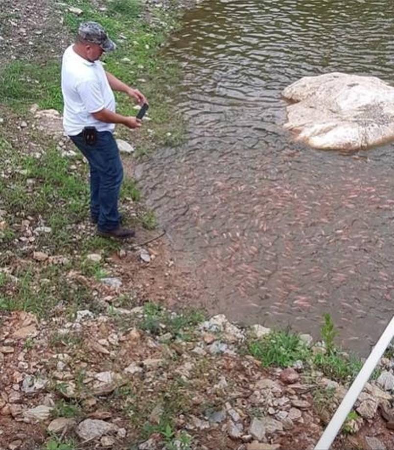 El diputado de Libre por el departamento de Cortés Edgardo Castro confirmó que Julio era militante de dicho partido político y “una persona muy querida en Pinalejo”.