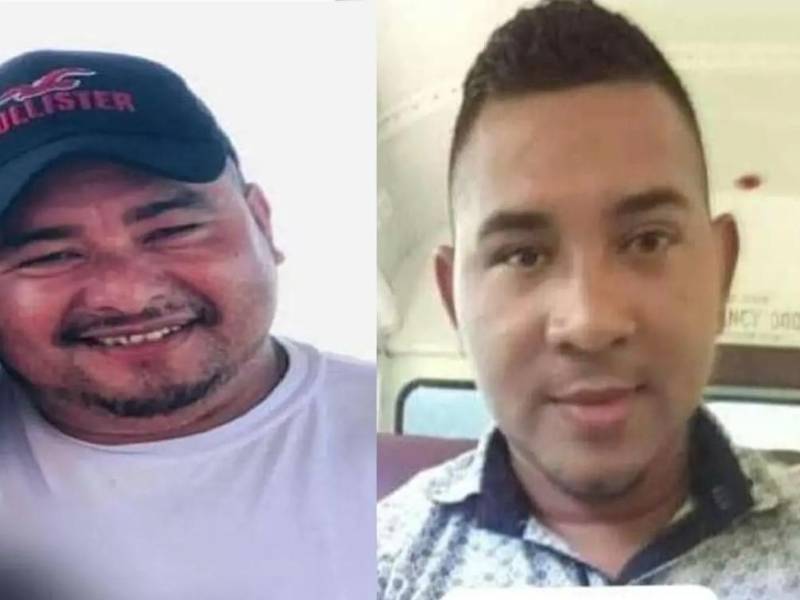 Ally Magdaleno Domínguez Ramos y Jairo Eli Bonilla residían en la aldea Guapinol y eran defensores de los recursos naturales del sector, que eran amenazados por compañías mineras.