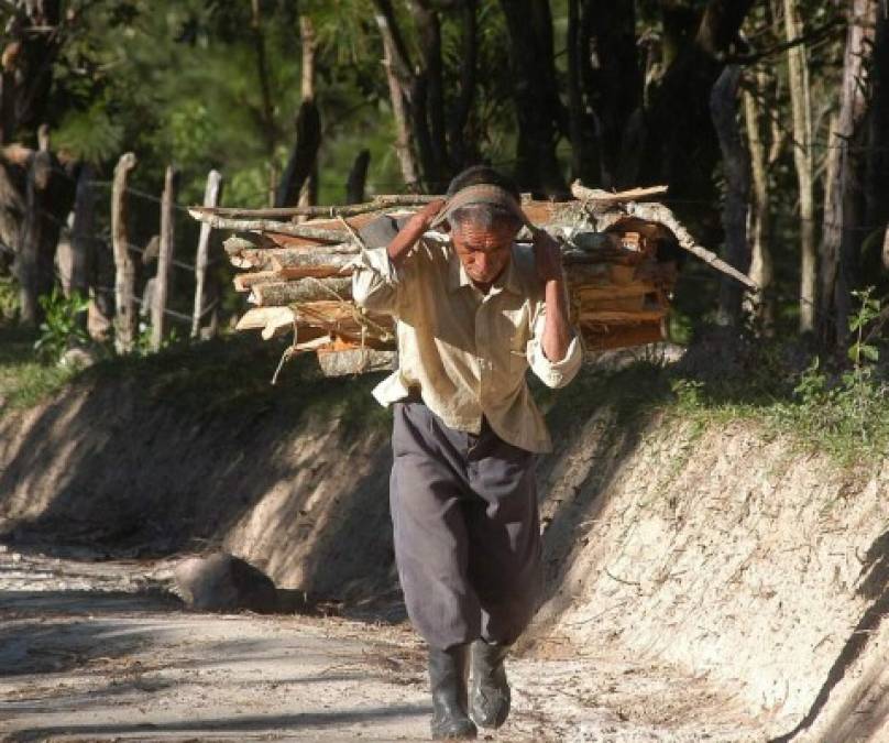 Este hombre carga leña que cortó en una de las aldeas de Santa Cruz en el departamento de Lempira.
