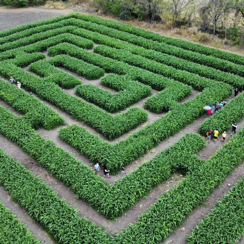 Montaña y ecoturismo, los otros encantos de Copán