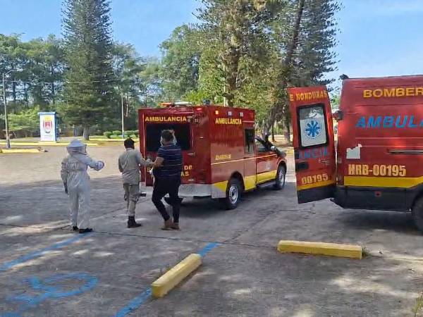 El Cuerpo de Bomberos acudió al llamado que unas abejas atacaban a estudiantes el Curla de La Ceiba y en las ambulancias los trasladadon al hospital Atlántida.