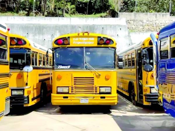 Las unidades permanecen paralizadas este día.