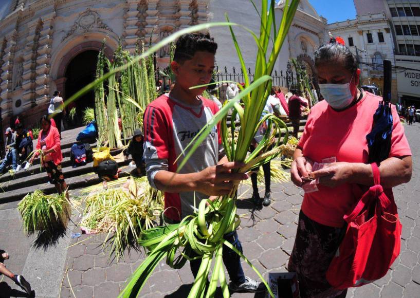 Las actividades de la Semana Santa en Honduras iniciaron este viernes con la llegada de decenas de campesinos a templos católicos de varias ciudades cargados con ramos de palma alusivos al Domingo de Ramos.
