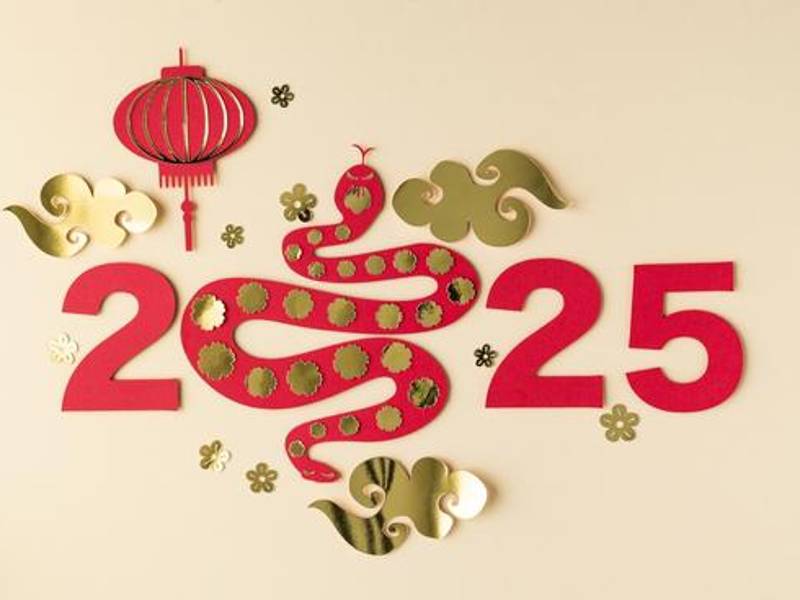 El 29 de enero de 2025, el mundo celebra el inicio del Año Nuevo Lunar, dando la bienvenida al Año de la Serpiente y despidiéndose del Año del Dragón. Esta festividad, profundamente arraigada en la cultura china, marca el comienzo de un nuevo ciclo zodiacal y es un momento crucial para quienes buscan empezar el año con buena fortuna.