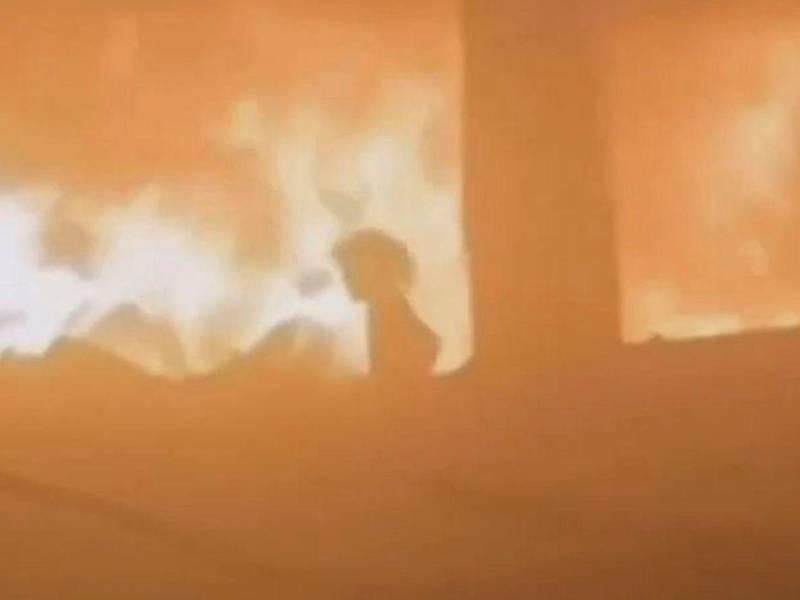 Una menor sobrevivió al bombardeo israelí contra una escuela en Gaza.