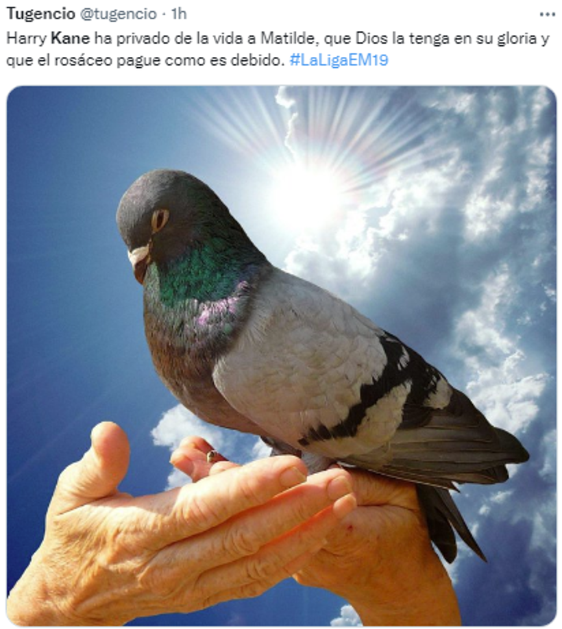 “A la tribuna”: Los jocosos memes a Harry Kane por penal errado