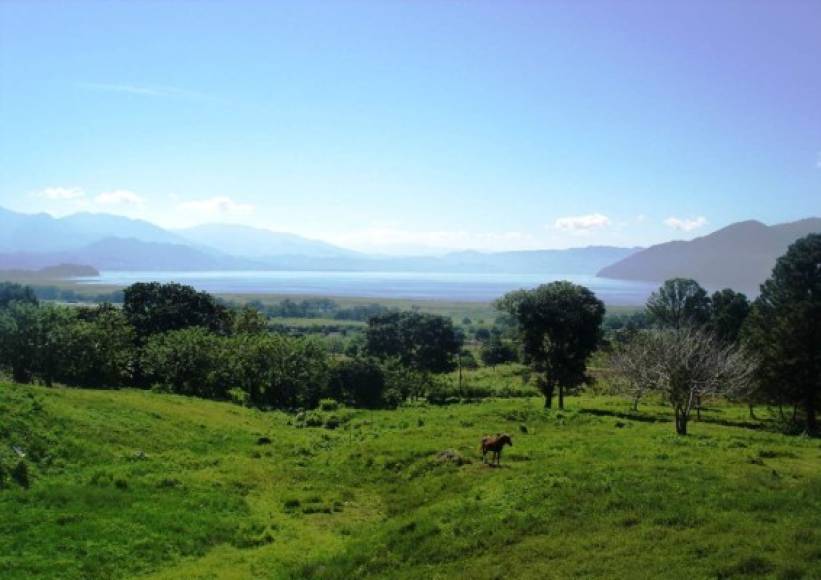 El Parque Nacional Cerro Azul Meámbar (PANACAM) es un parque nacional hondureño ubicado a 30 km al norte de la localidad de Siguatepeque. El punto más alto del mismo es el 'Pico del Cerro', a 2.047 m de altitud.