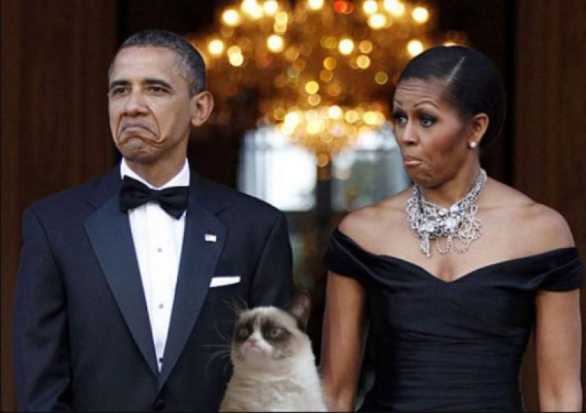 Algunos medios recuerdan que el hoy expresidente Barack Obama llegó a imitar el gesto malhumorado de la gata para describir como veían los republicanos a Estados Unidos con él en la Presidencia.