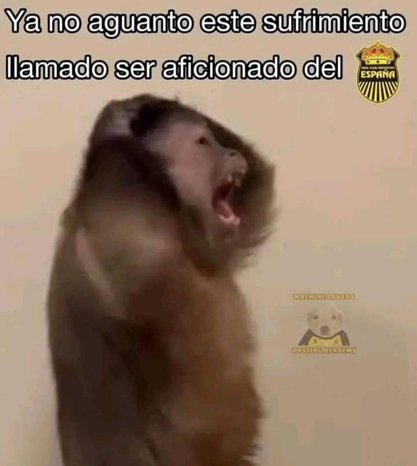 Memes: Real España es víctima de burlas por derrota contra Motagua en la semifinal de ida