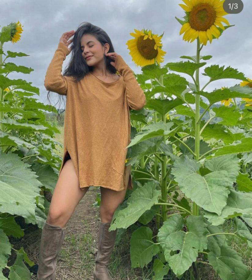 Desde hace varios meses las especulaciones de una relación entre los presentadores del canal HCH Allisson Mejía y Jefry Rodríguez tomaban más fuerza. 