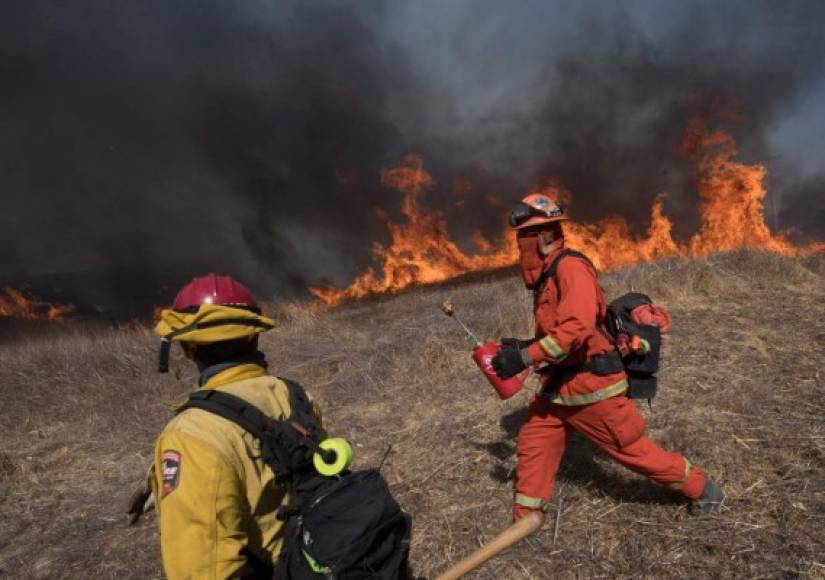 Un total de 763 bomberos están desplegados para enfrentar el incendio Getty, que ha destruido 12 residencias y otras cinco han presentado daños. Casi 7,100 viviendas están ubicadas en áreas de evacuación.