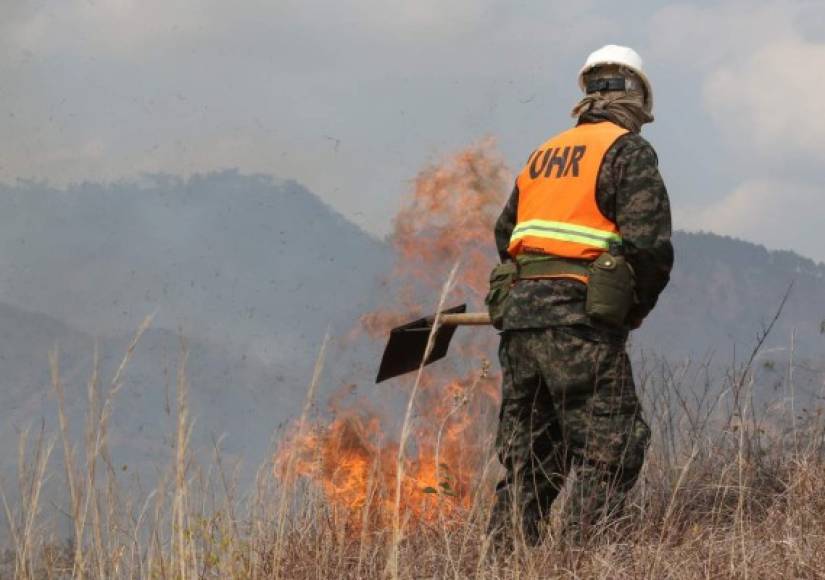 Unos 70 bomberos luchan contra las llamas que ya han afectado 30 hectáreas de bosque.