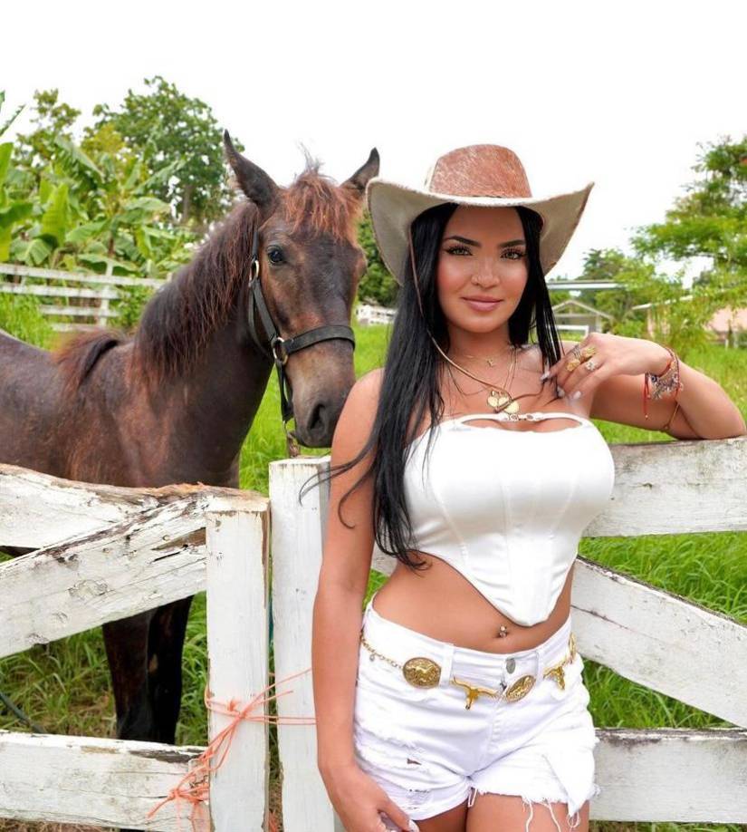 El sospechoso tocó a la puerta, pero fue recibido por una amiga de su exesposa, quien le dijo que lo contactaría más tarde.