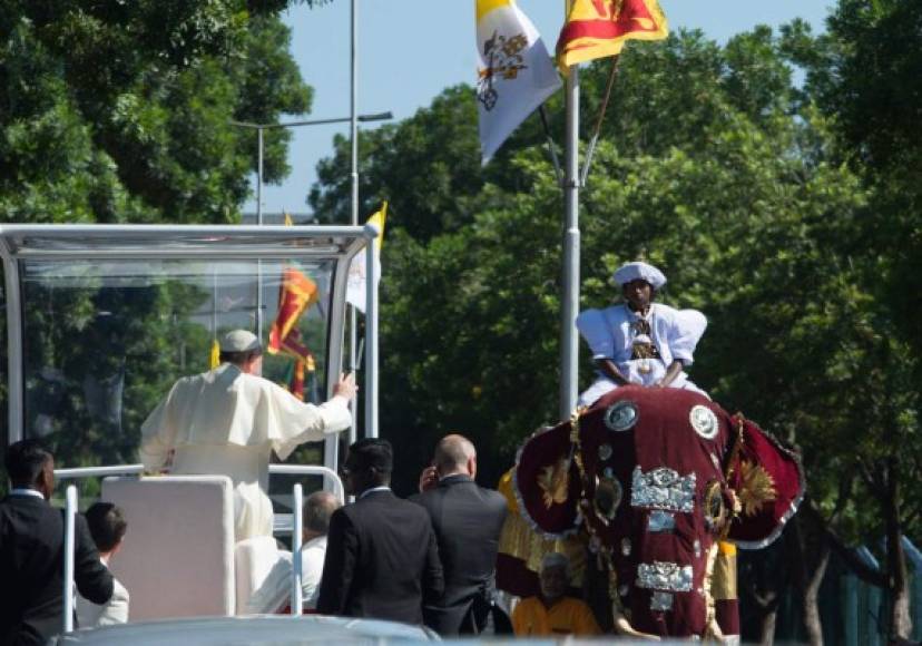 Sri Lanka recibe al Papa Francisco con 40 elefantes
