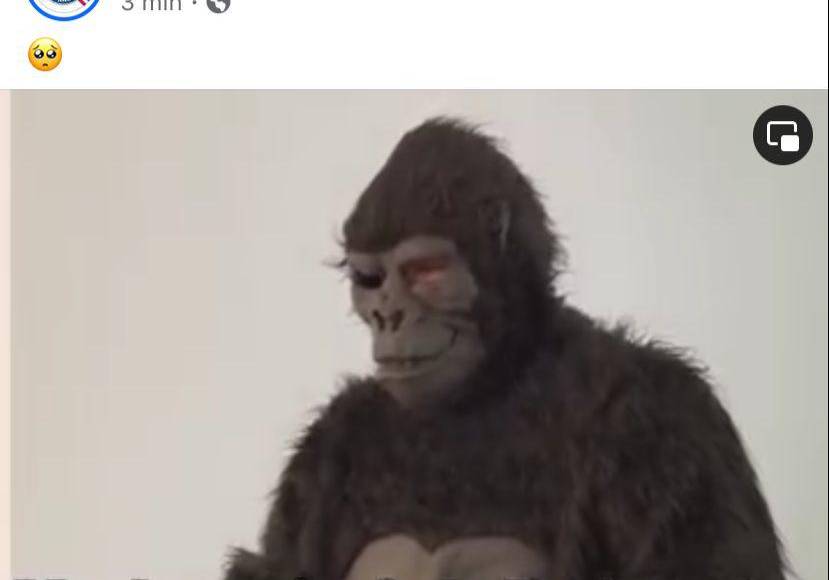 Sin Copa América: Los jocosos memes que dejó la derrota de Honduras