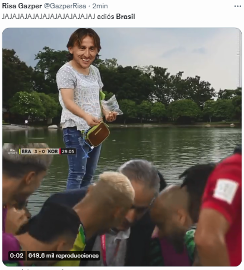 Los memes destrozan a Brasil tras eliminación: “La maldición del gato”