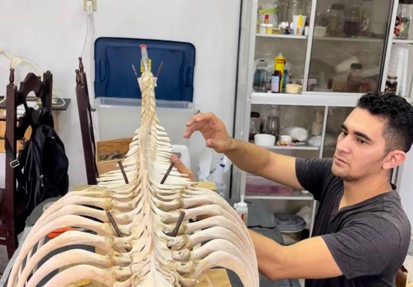 No obstante, la alegría del joven fue opacada por la noticia de que su tío no podría seguir pagando sus estudios, debido a dificultades financieras.