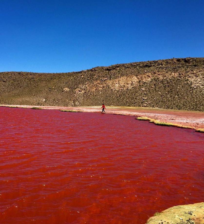 En el mismo texto, pero en el versículo 21, se indicó: “Asimismo, los peces que había en el río murieron; y el río se corrompió, tanto que los egipcios no podían beber de él; y hubo sangre por toda la tierra de Egipto”.