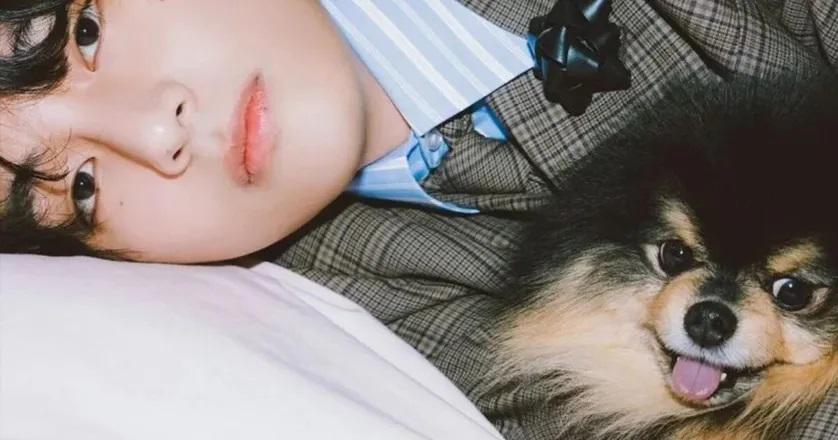 Yeontan padecía de problemas de salud desde mucho antes de que fuese adoptado por el cantante de BTS.
