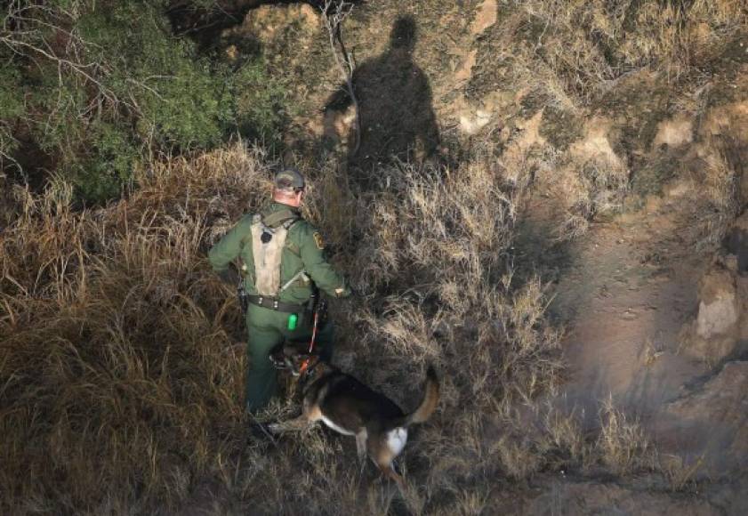 Agentes rastrean con perros a los indocumentados en la frontera entre Texas y México.