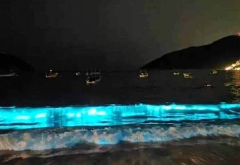 Este evento es habitual en algunas playas de México, turistas y locales acuden todas las noches a ver las aguas color azul.