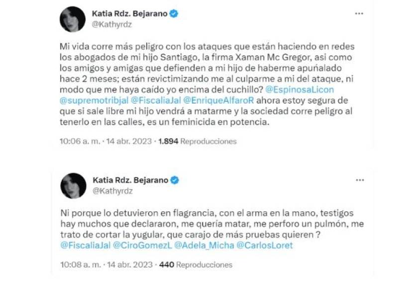 La activista también comentó que espera que su hijo permanezca en prisión y reciba ayuda psicológica, ya que tiene miedo de que vuelva a agredirla o intente asesinar a sus hermanos menores. “Me duele decirlo, pero más me duele saber que saldrá libre mañana y vendrá a matarme a mí y a mis dos hijos pequeños, de 7 y 9 años”. 