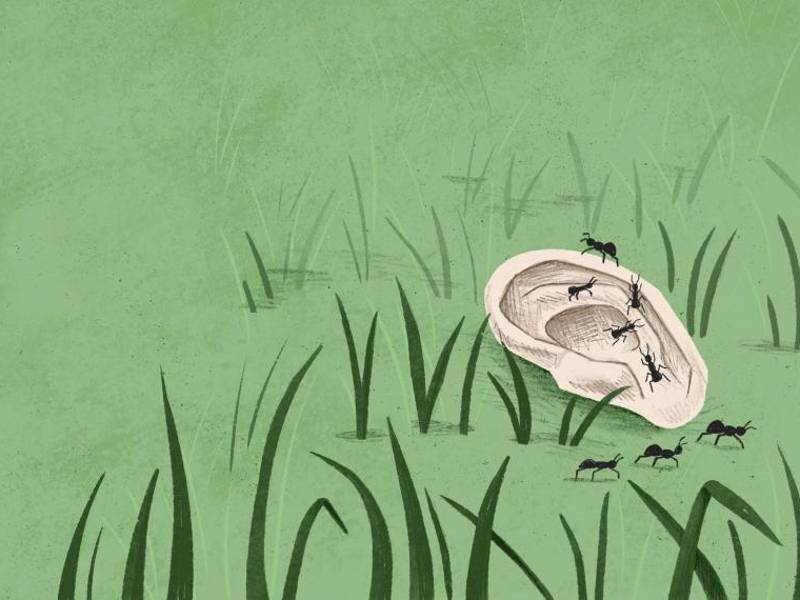 David Lynch fue un maestro en utilizar lo siniestro. En sus filmes muestra un barrio residencial perfecto, mientras que en el césped aparece una oreja humana”, según la ilustradora Díaz.