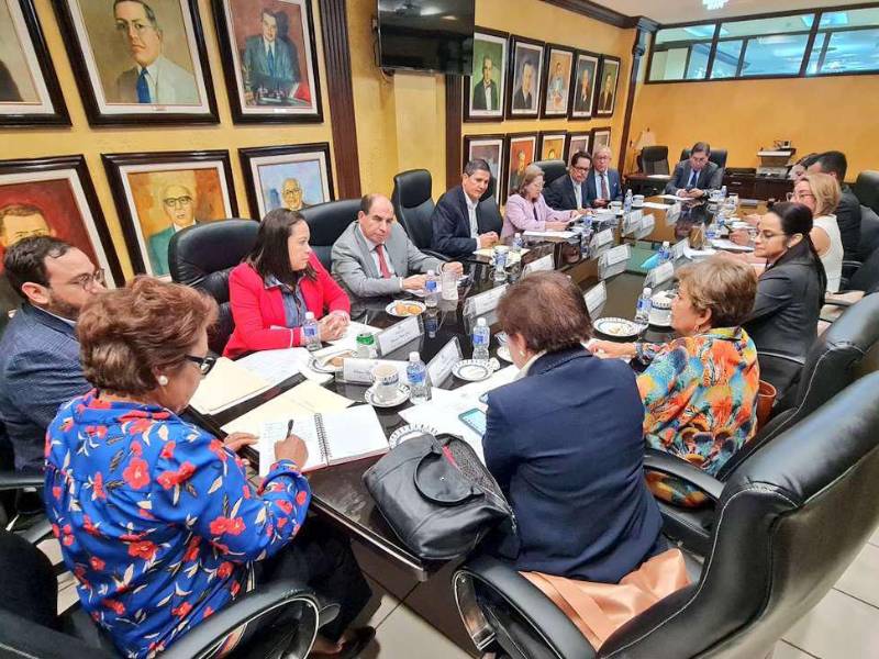 Ayer continuaron en reunión de trabajo para planificar actividades de la semana. La presidenta Rebeca Lizette Ráquel Obando también notificó oficialmente la conformación de las cuatro salas para iniciar a trabajar.