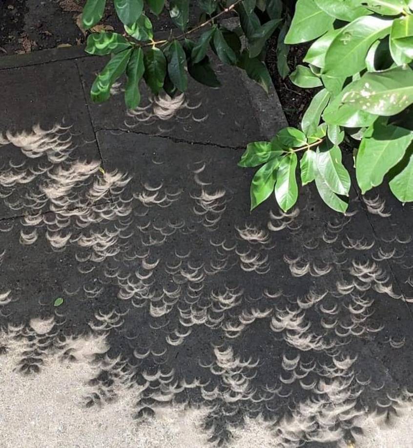 Cabe detallar que, este fenómeno es observado únicamente en las sombras de los hojas de los árboles y piso cuando el eclipse solar está en su máximo esplendor.