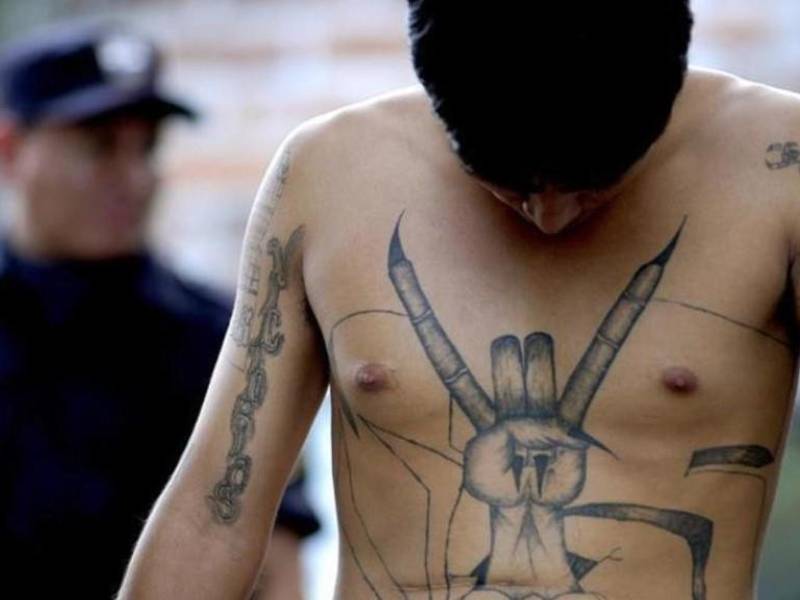 7,000 pandilleros son los que aproximadamente guardan prisión, según estadísticas de las autoridades penitenciarias. En el país hay 40,000 miembros de estructuras criminales.
