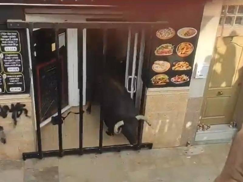 Video: Toro se escapa de exhibición e ingresa a pizzería causando terror