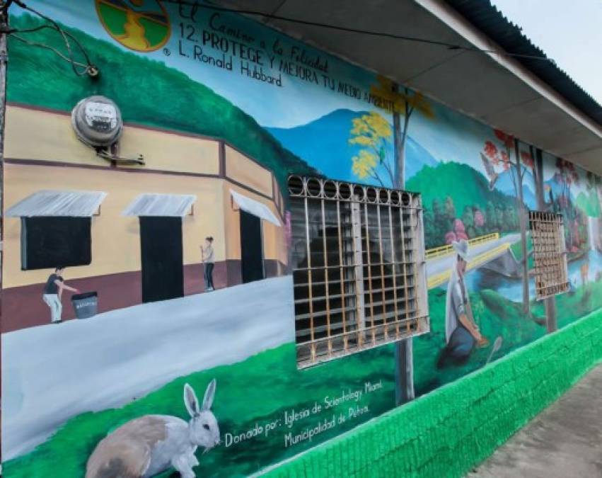 Este precepto lleva por nombre 'Protege y mejora tu medio ambiente'.